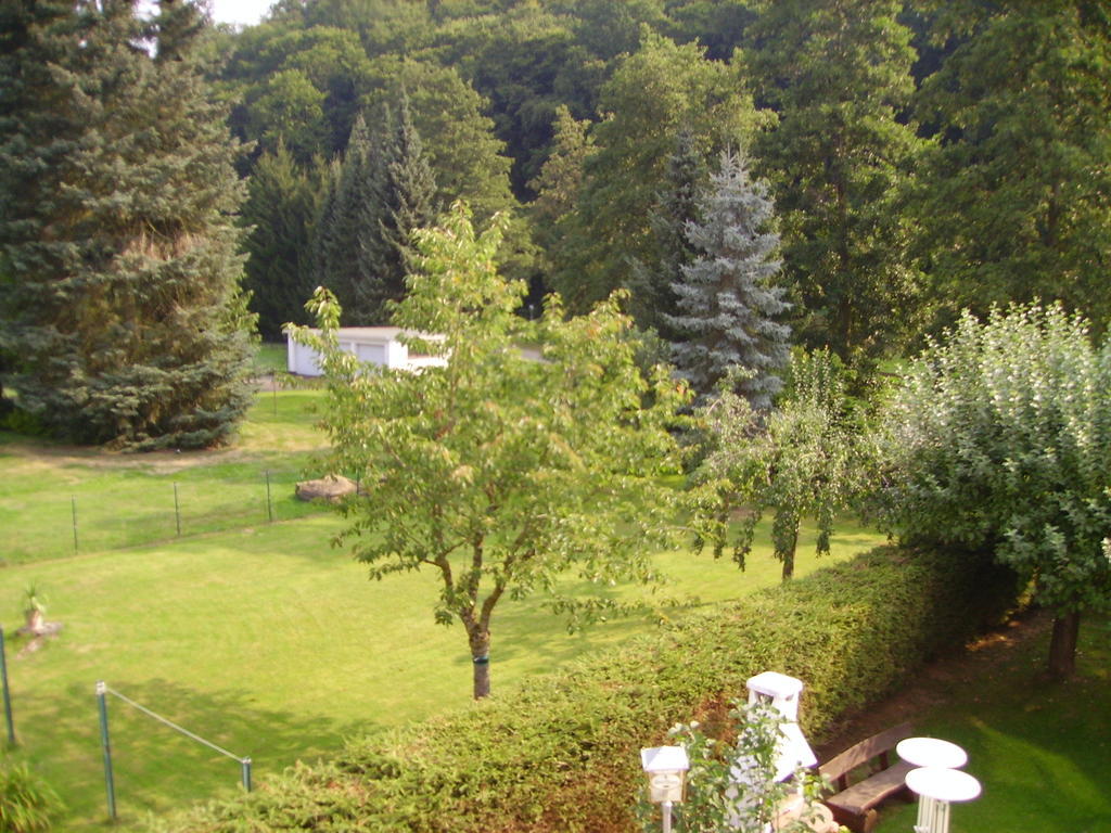 Hotel Zur Erholung Brochthausen ห้อง รูปภาพ
